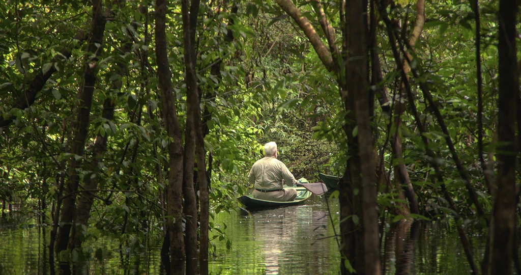 Amazon-Rainforest-Anavilhanas-Jungle-Lodge-24-Anavilhanas Lodge - (32)
