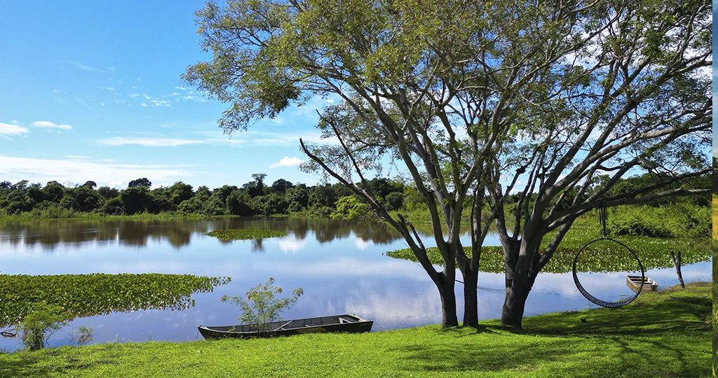 pantanal-pousada-aguape-animais-e-paisagens-24-Aguape-69DJI_0759