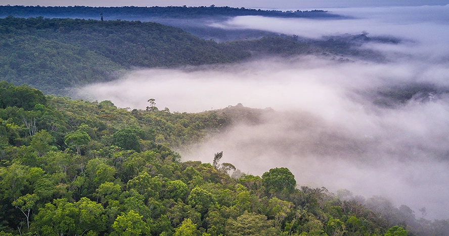 amazon-amazonemotions-refuge-lodge-26-02