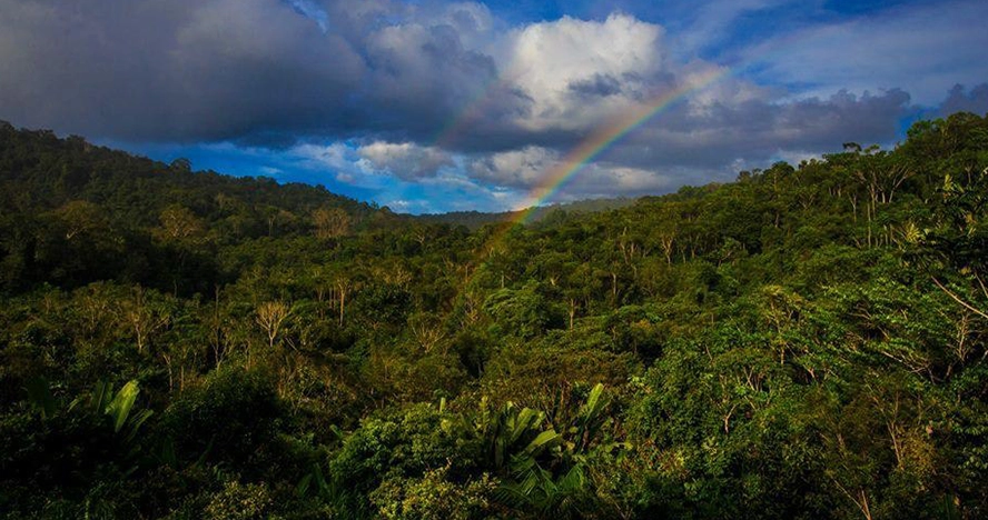 amazon-amazonemotions-refuge-lodge-26-03